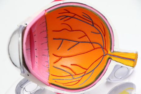 Simptomele unor ochelari nepotriviți – sfaturi și recomandări utile pentru combaterea efectelor dioptriilor nepotrivite asupra ochilor, Fără categorie - optimarvisioncare.ro